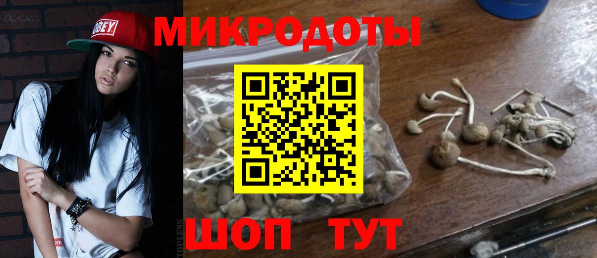 Тольятти  Галлюциногенные грибы Psilocybe  Вход с VPN  Галлюциногенные грибы прущие грибы 